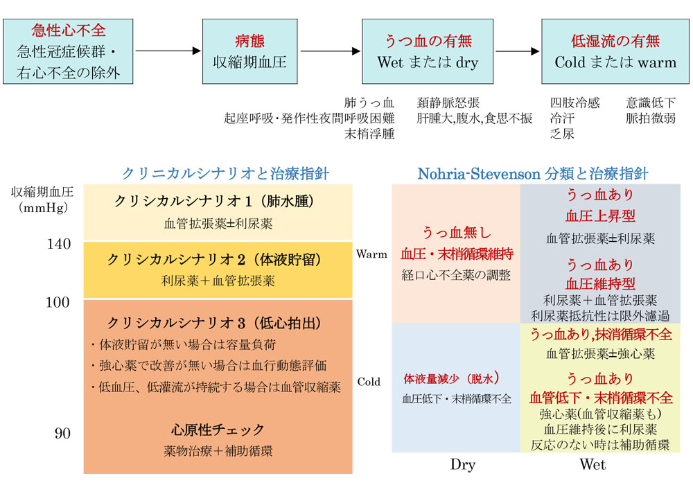 急性心不全の初期対応から急性期病態に応じた治療の基本方針の表