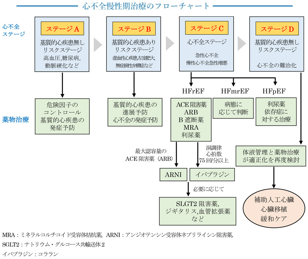 心不全慢性期治療のフローチャート