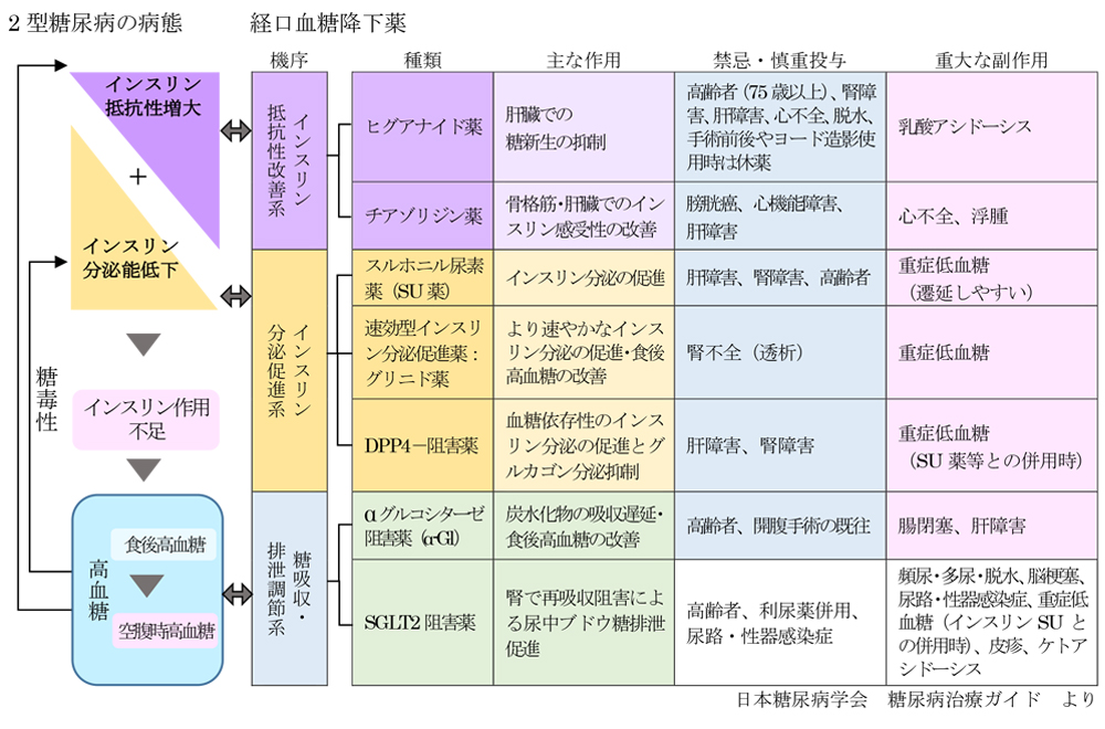 2型糖尿病の病態
