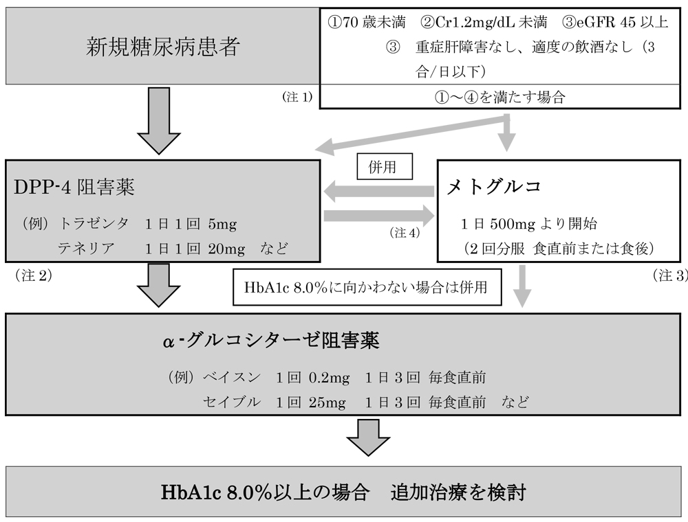 2型糖尿病の病態